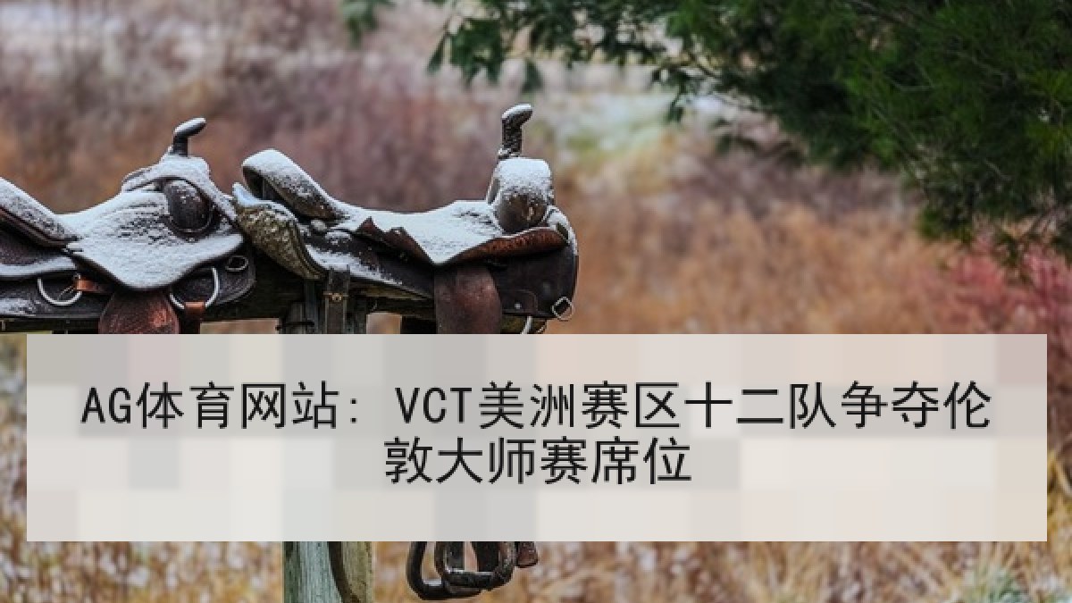 AG体育网站: VCT美洲赛区十二队争夺伦敦大师赛席位